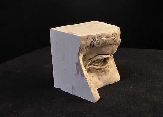 Eye prop 1:2 scale