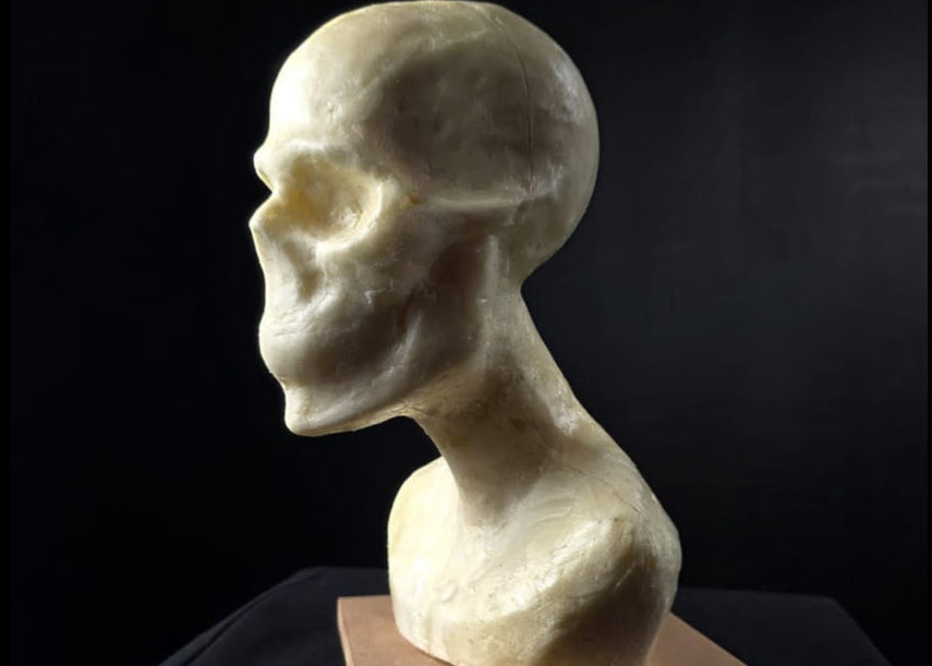 Bust Armature 1.2 scale