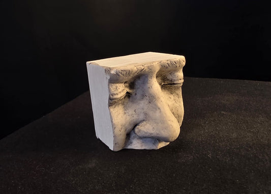 Nose prop 1:2 scale