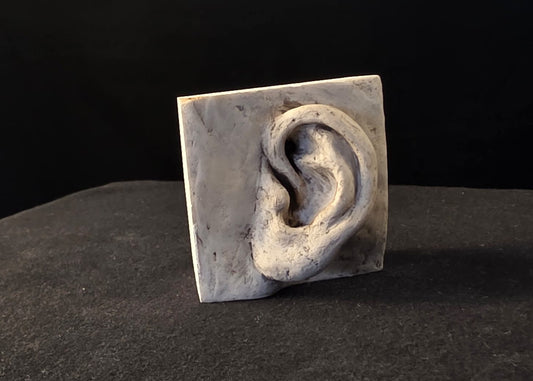 Ear prop 1:2 scale